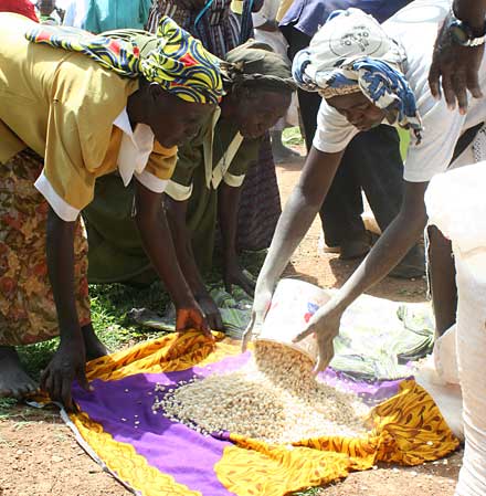 Distributing food in Homa bay, Kenya