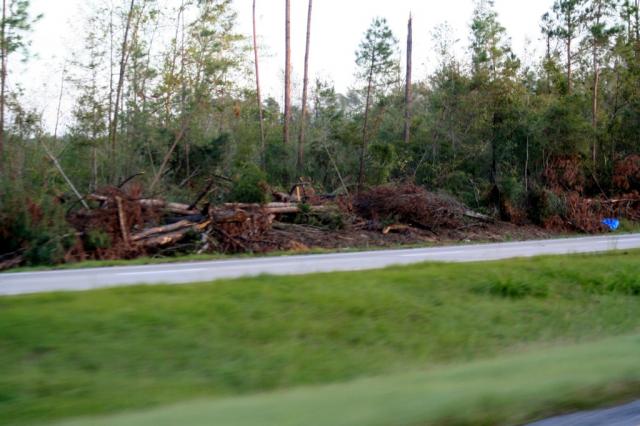 Starting to see the effects of the storm in Central Mississippi 