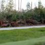 Starting to see the effects of the storm in Central Mississippi 