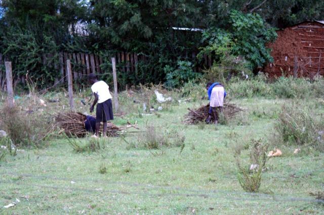Girls gathering wood for cooking in a field near the Crusade 