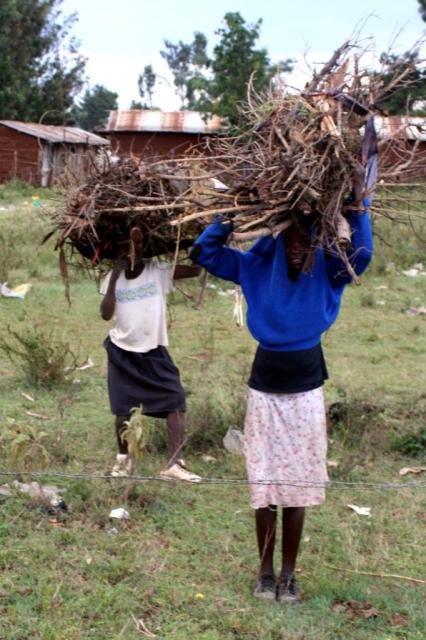 Girls carrying the wood home for cooking 