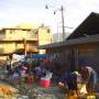 haiti-feb2010-DSCN0189